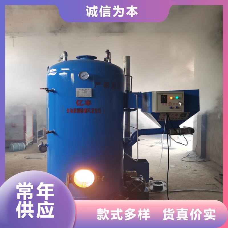  蒸汽发生器款式新颖