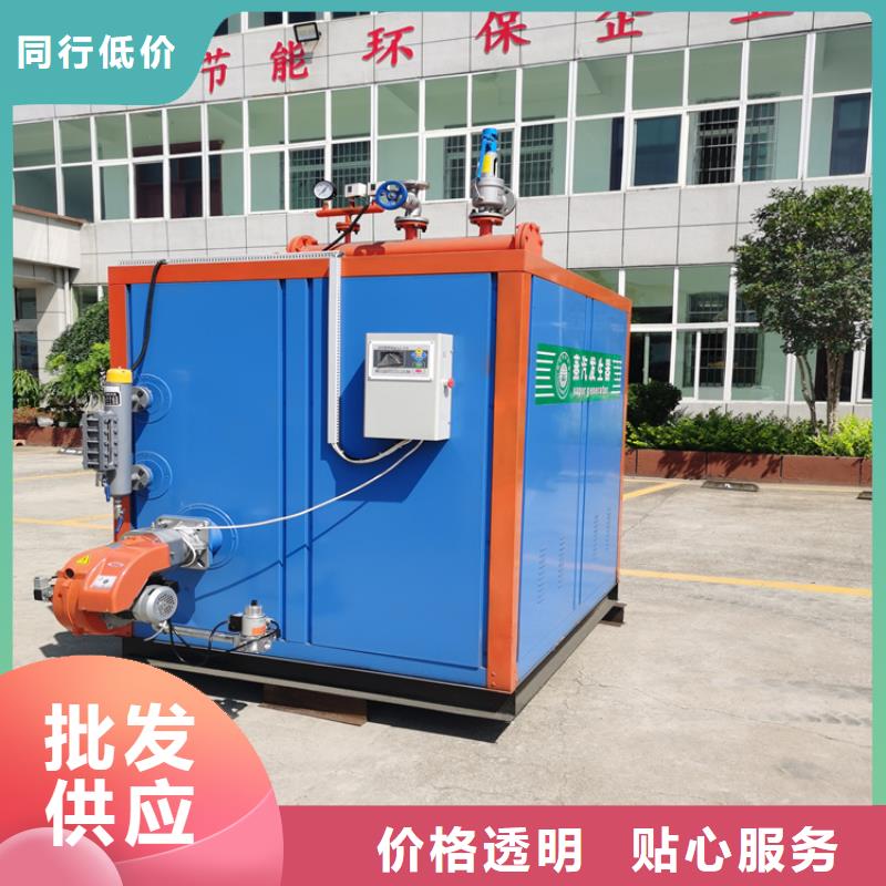 蒸汽发生器导热油锅炉源头直供