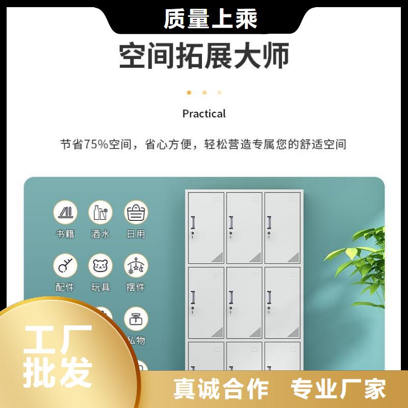 【更衣柜多功能文件密集柜精致工艺】