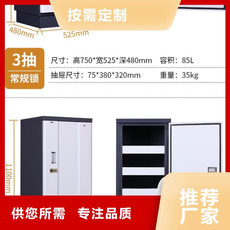 防磁柜移动档案密集架实力大厂家