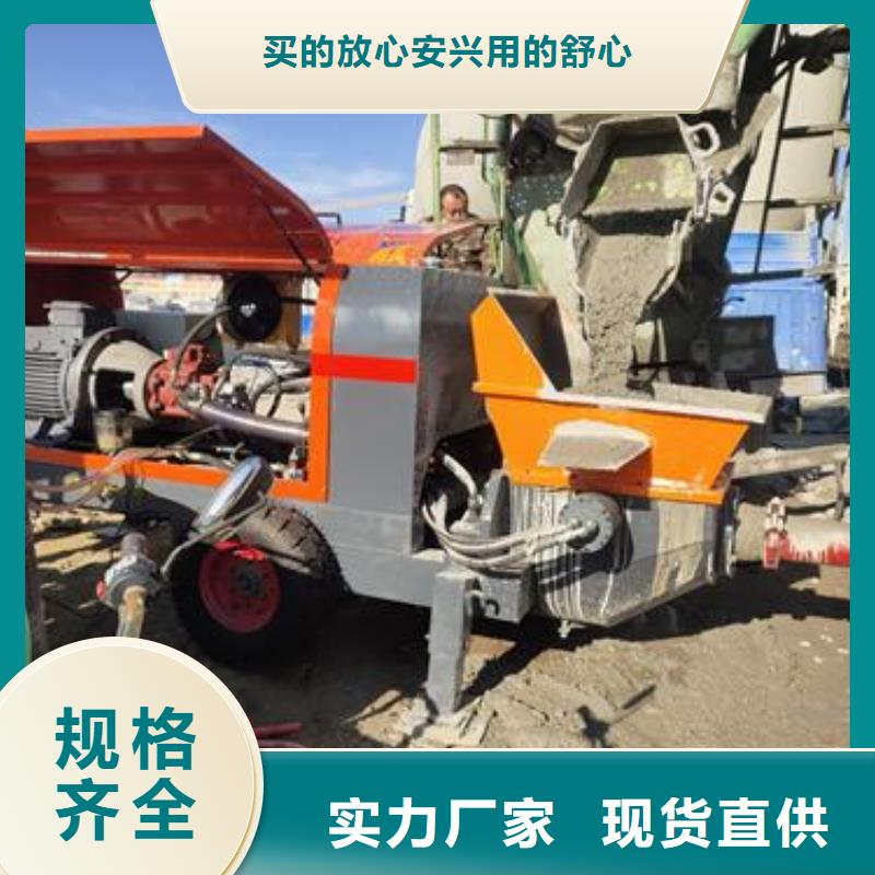 小型二次构造柱泵上料机