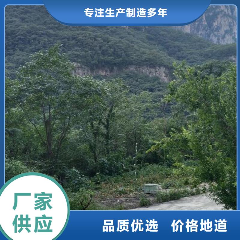 中国（）华侨经济文化合作试验区晓科二次构造柱泵