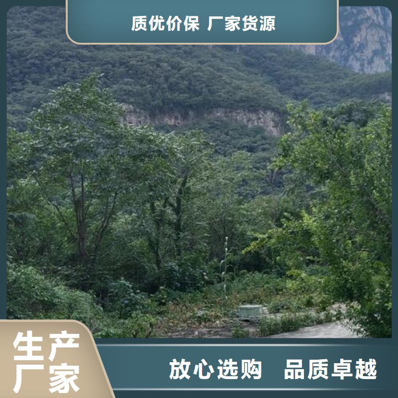 小型二次构造柱泵