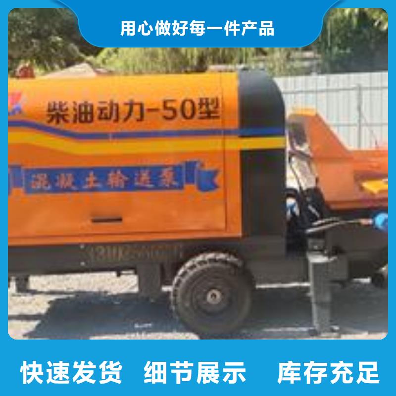 小型二次构造柱泵上料机