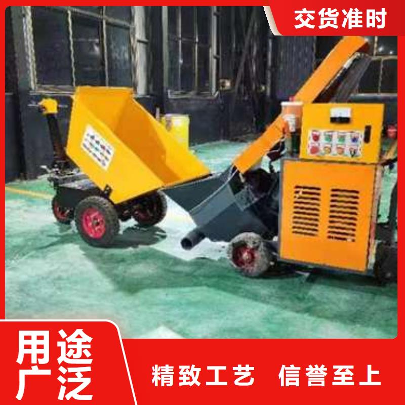 小型二次构造柱泵上料机