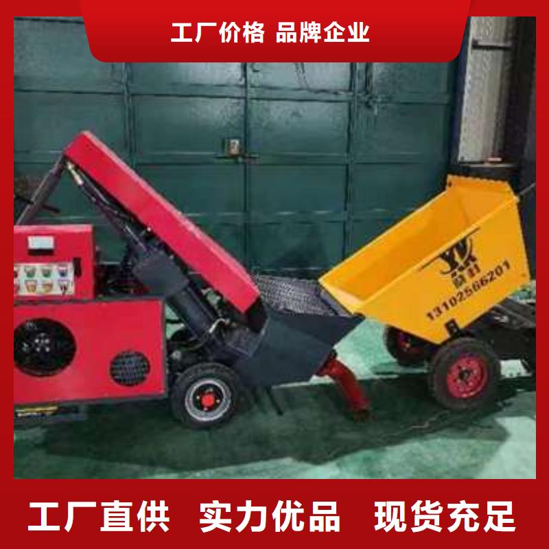 晓科小型二次构造柱泵