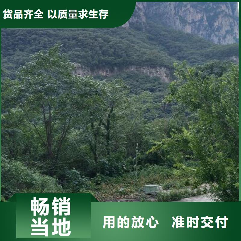小型混凝土泵 混凝土浇筑泵款式新颖
