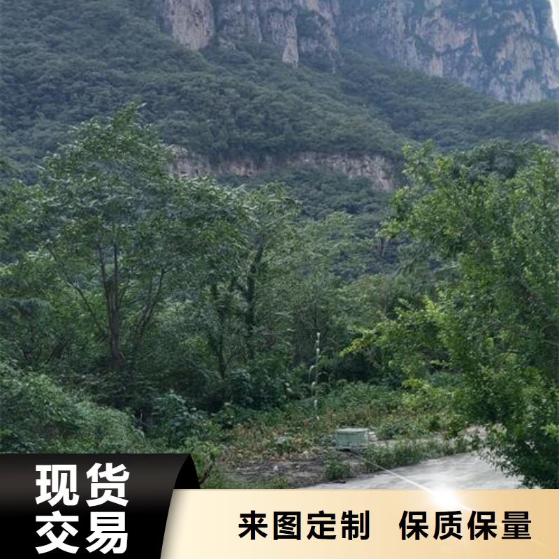 小型混凝土泵,小型混凝土路面灌缝机实拍展现