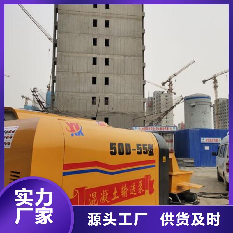 小型混凝土泵_二次结构柱泵让客户买的放心