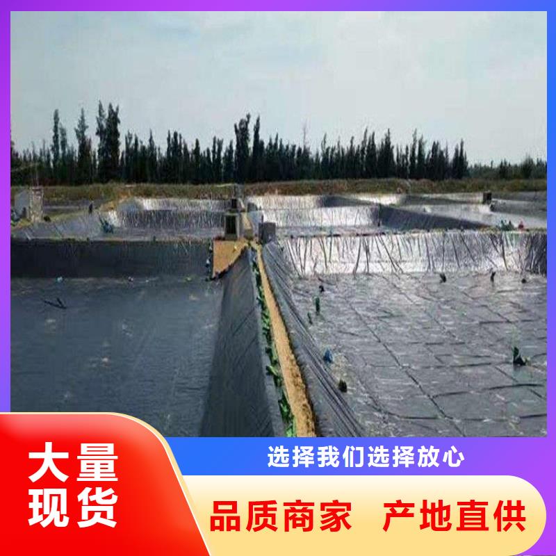 HDPE土工膜-黑膜防渗膜
