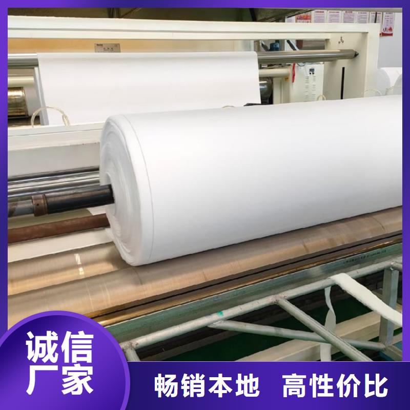 土工布厂家_无纺布_120g土工布