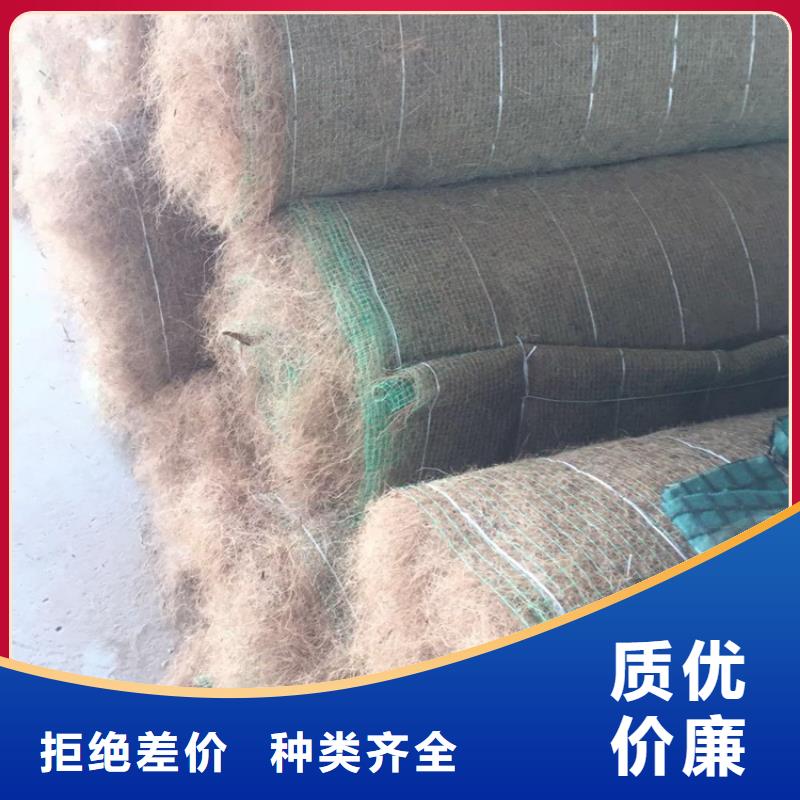 加筋抗冲生物毯-椰丝生态毯-绿化毯