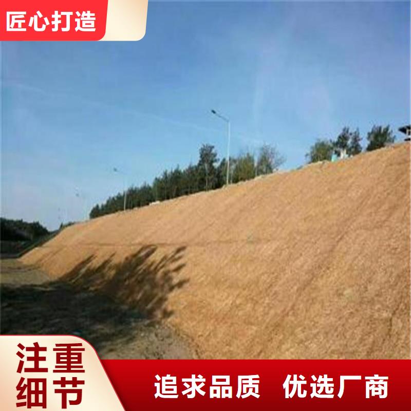 椰丝毯钢塑土工格栅定制批发