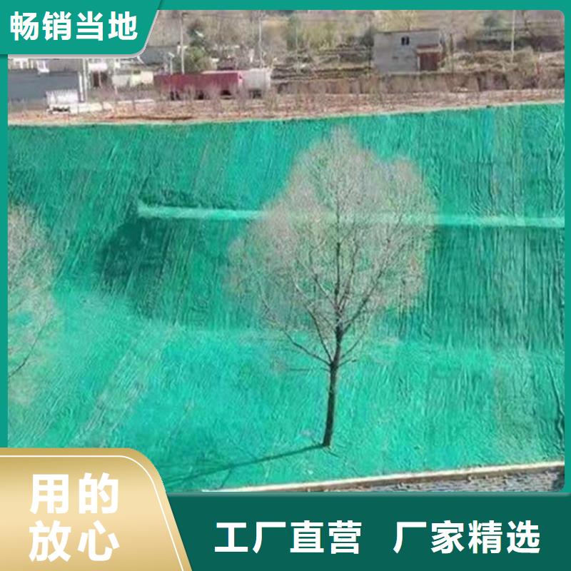 椰丝毯-椰纤植草毯-边坡植被垫