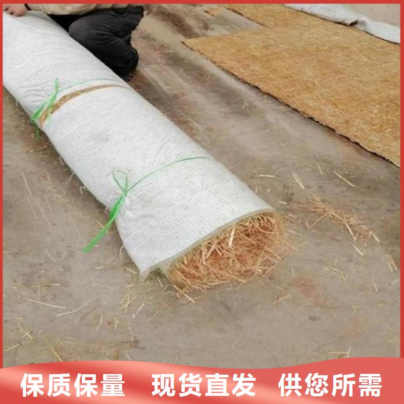 椰丝毯钢塑土工格栅定制批发