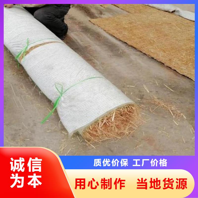 抗冲生态毯-抗冲植物毯-抗冲植生毯
