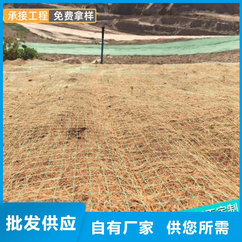 植生椰丝毯护坡植被植草毯批发经销/哪里有卖的