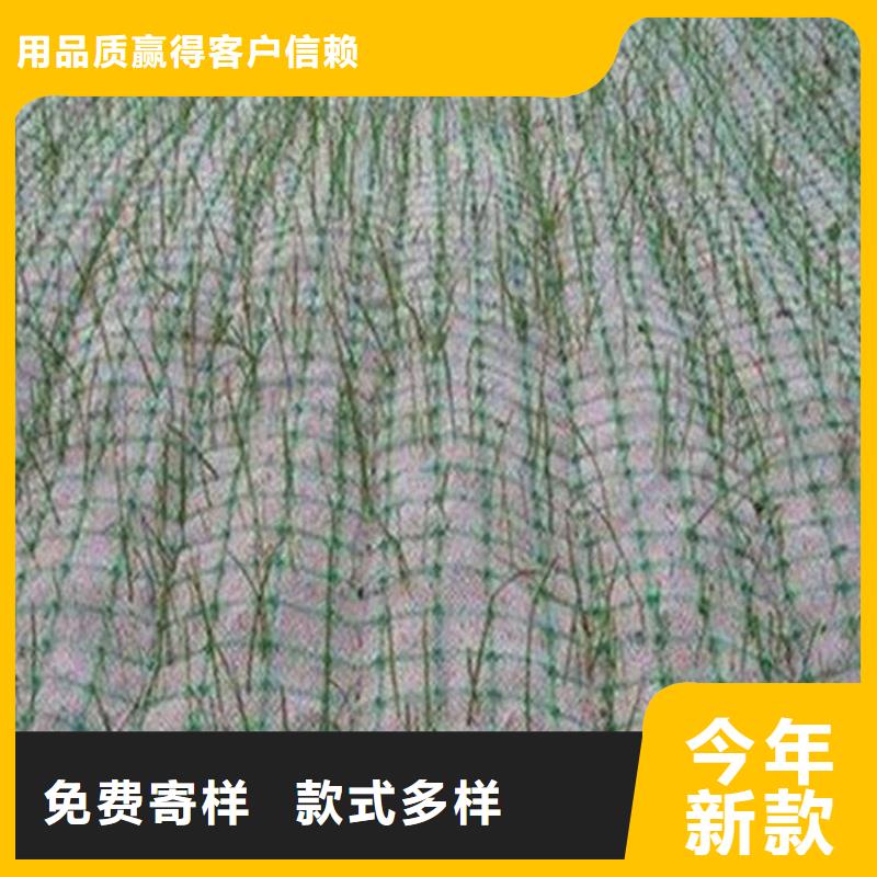 椰丝毯-椰纤植草毯-边坡植被垫