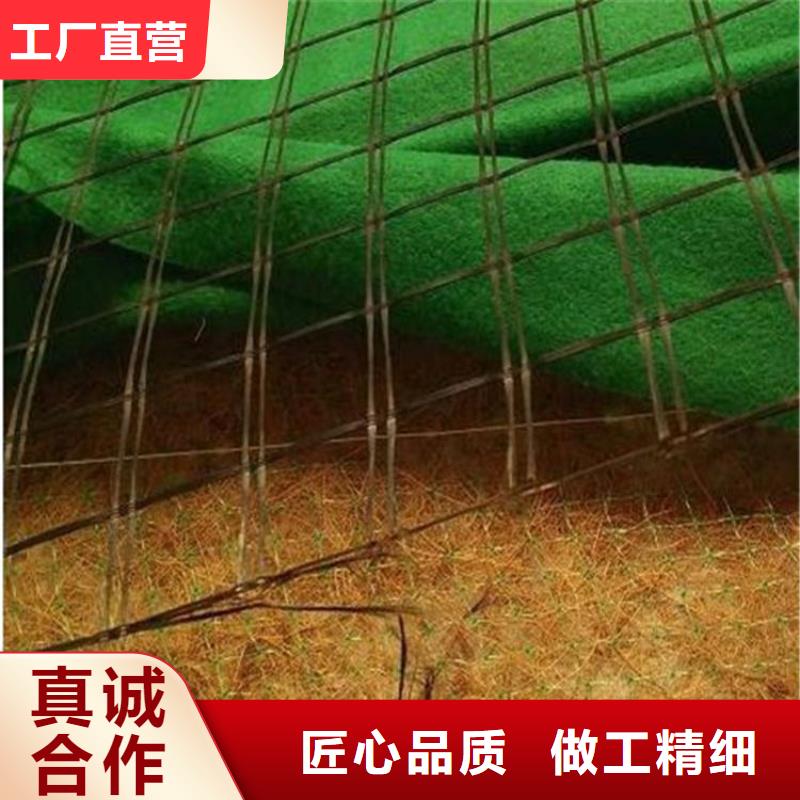 加筋抗冲生物毯-椰丝生态毯-绿化毯