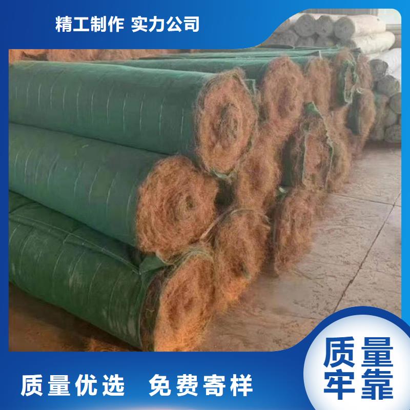 植生椰丝毯护坡植被植草毯批发经销/哪里有卖的