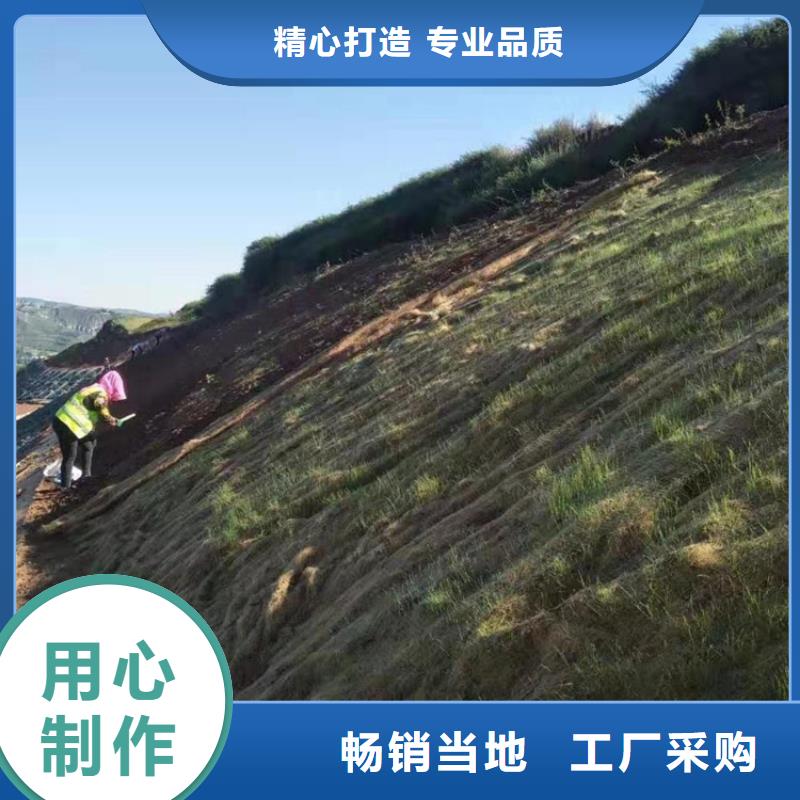 植生椰丝毯护坡植被植草毯批发经销/哪里有卖的