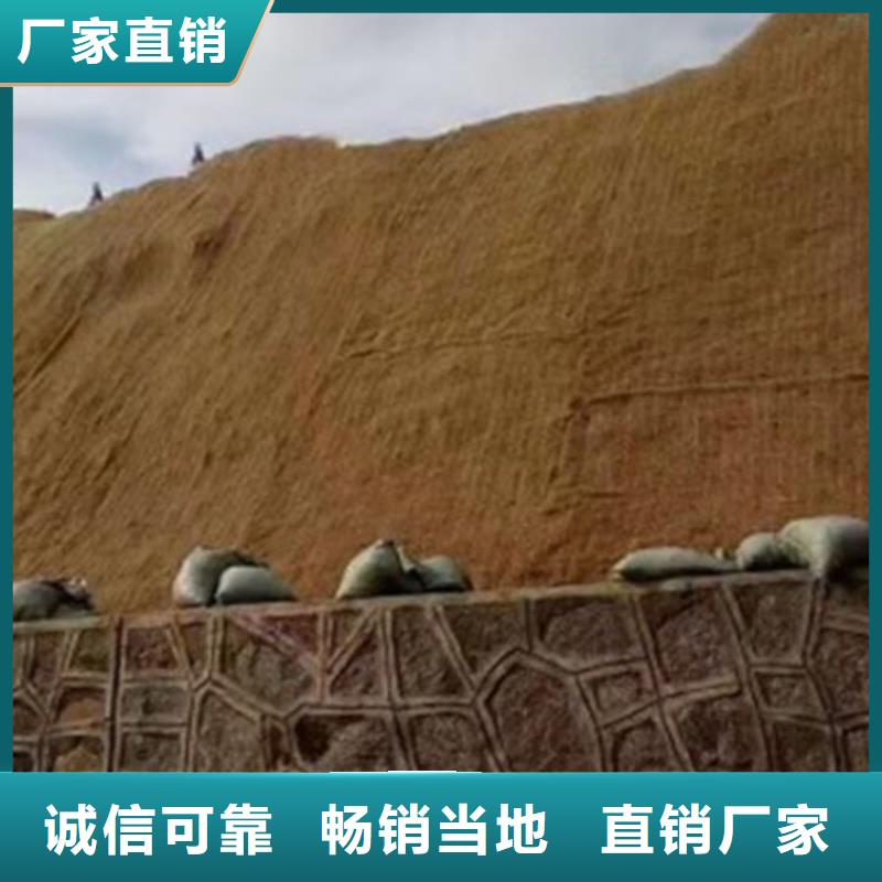椰丝毯钢塑土工格栅定制批发