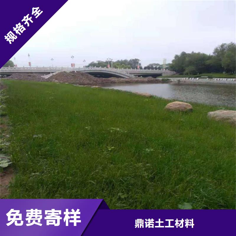 椰丝毯钢塑土工格栅定制批发
