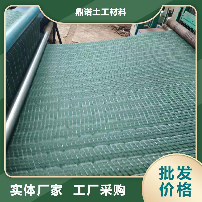 椰丝毯钢塑土工格栅定制批发