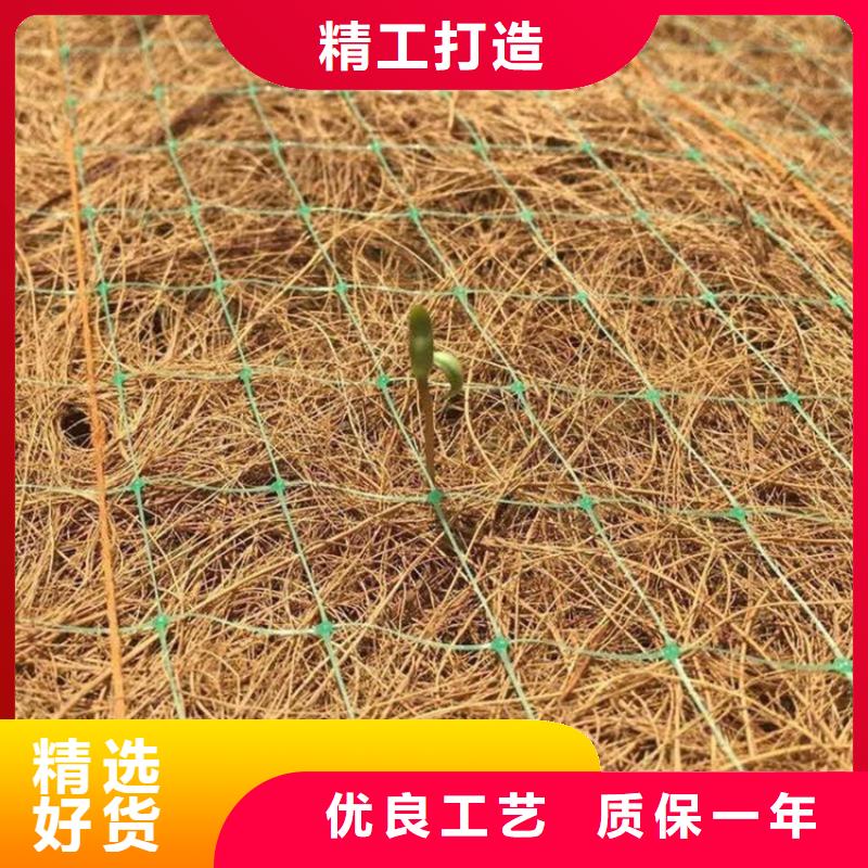 椰丝毯钢塑土工格栅定制批发