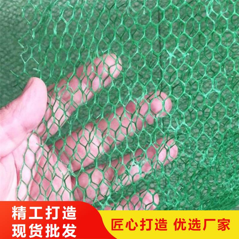 三维植被网塑料盲沟品类齐全