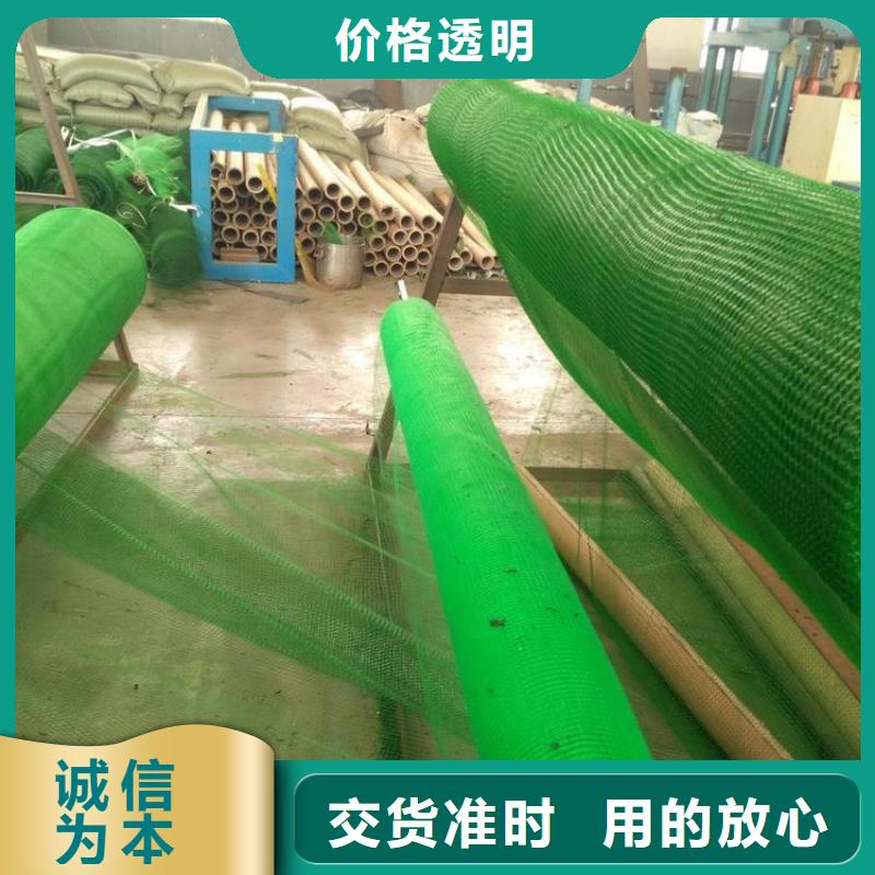 三维植被网塑料盲沟品类齐全