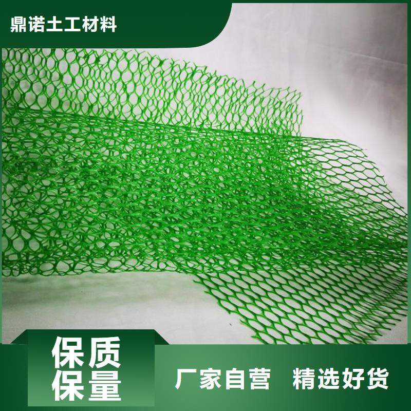 三维植被网塑料盲沟品类齐全