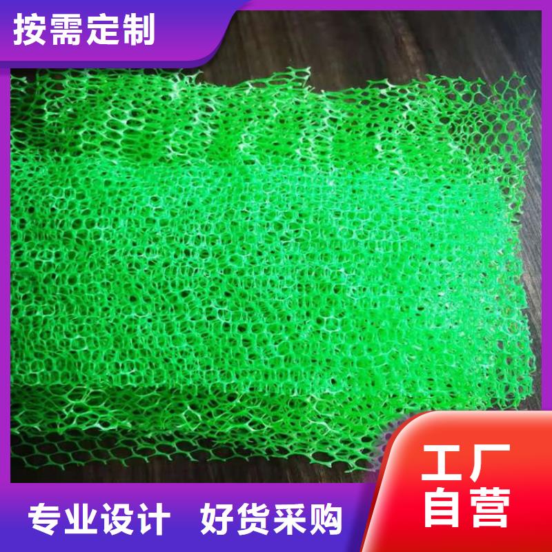 三维植被网塑料盲沟品类齐全