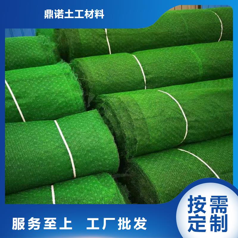 三维固土网垫EM5三维护坡植草网垫
