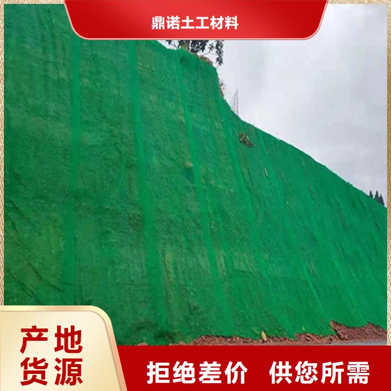 三维固土网垫EM5三维护坡植草网垫
