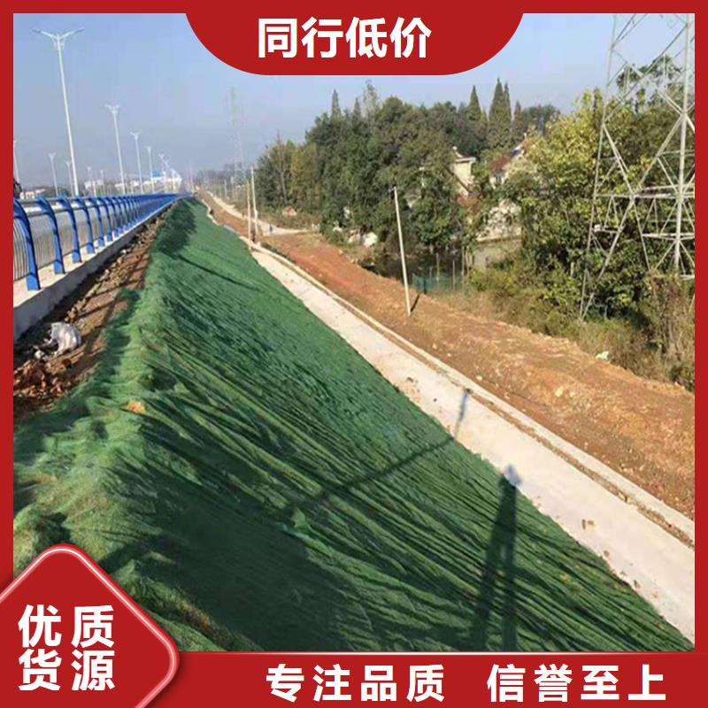 三维固土网垫EM5三维护坡植草网垫