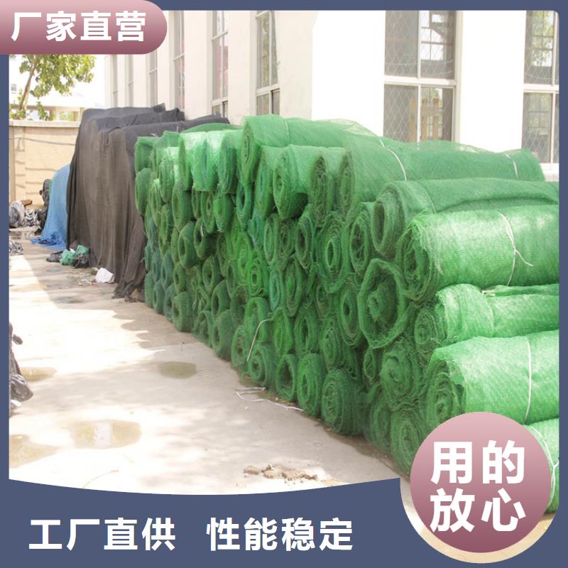 三维植被网塑料盲沟品类齐全