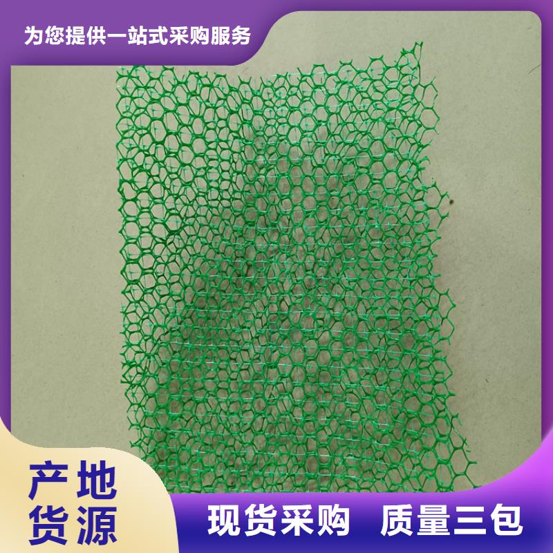 三维植被网塑料盲沟品类齐全