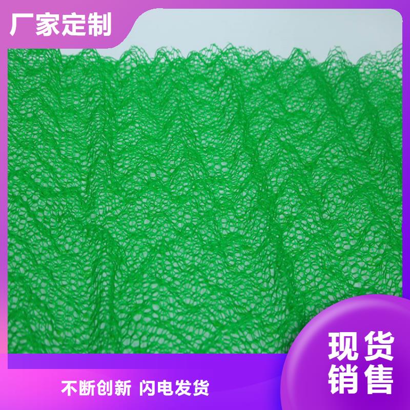 三维植被网塑料盲沟品类齐全