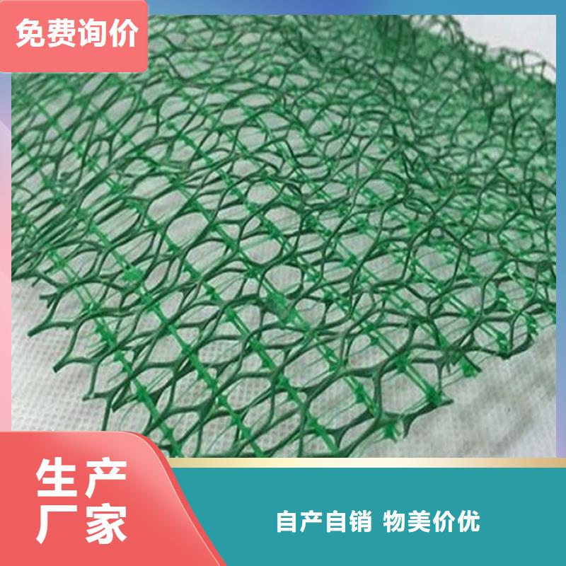 三维植被网塑料盲沟品类齐全