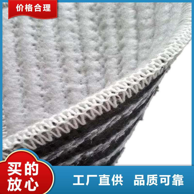 【膨润土防水毯双向土工格栅用心服务】