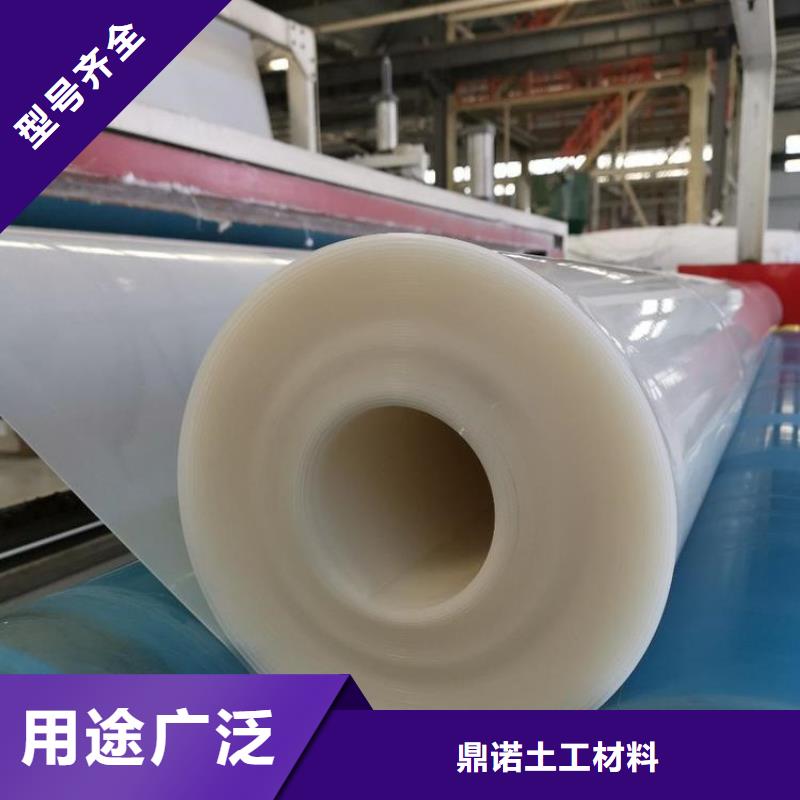 防水板双向塑料土工格栅N年生产经验