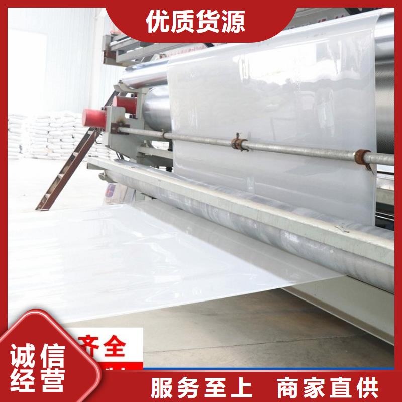 防水板双向塑料土工格栅N年生产经验