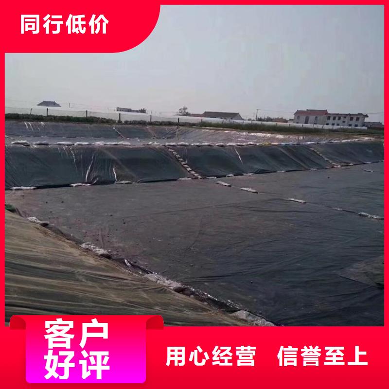 土工膜玻纤格栅实体厂家支持定制