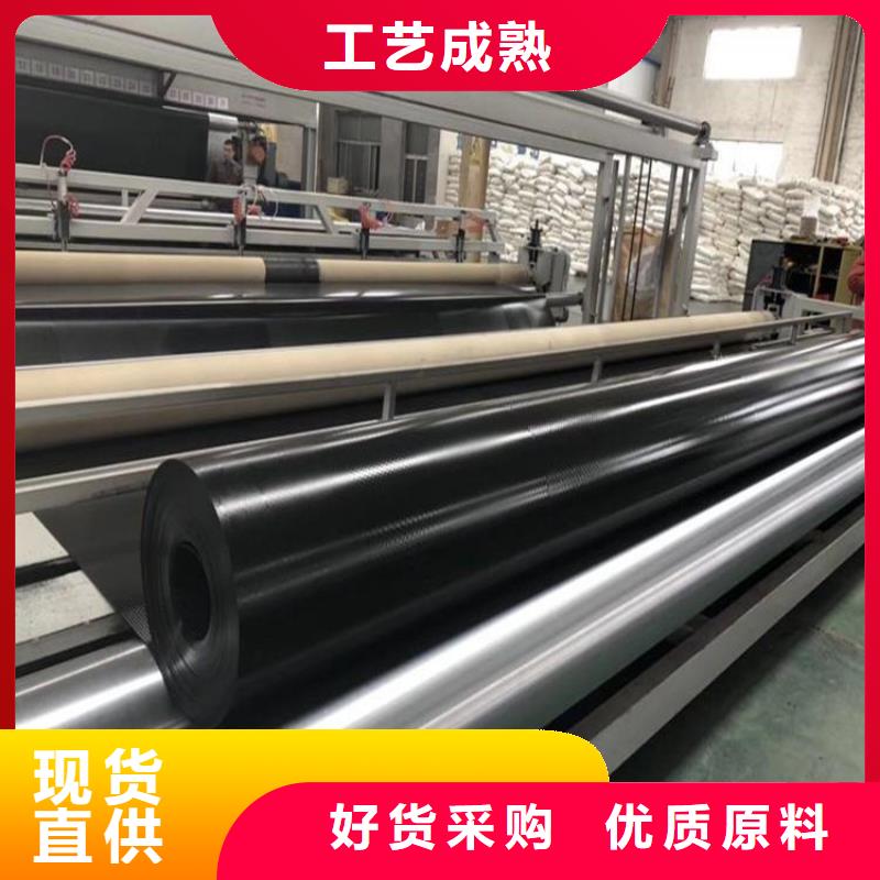 土工膜玻纤格栅实体厂家支持定制