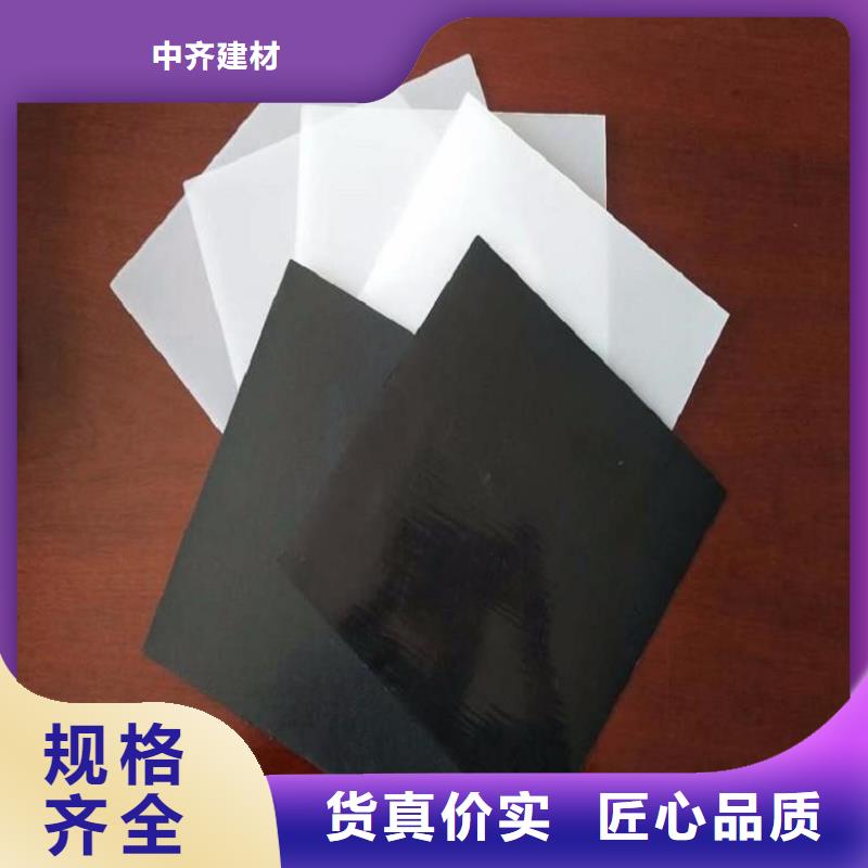 土工膜玻纤格栅实体厂家支持定制