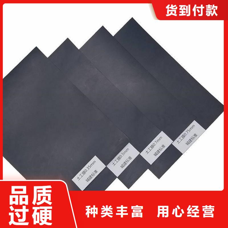 土工膜玻纤格栅实体厂家支持定制