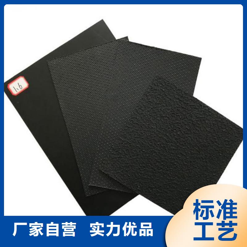 土工膜玻纤格栅实体厂家支持定制
