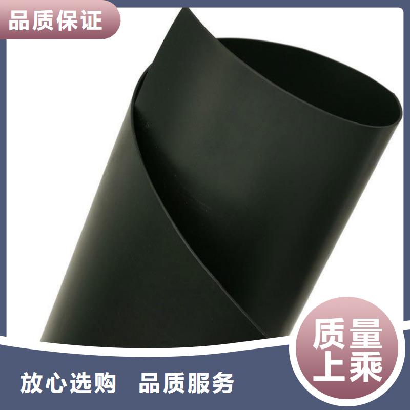 土工膜玻纤格栅实体厂家支持定制