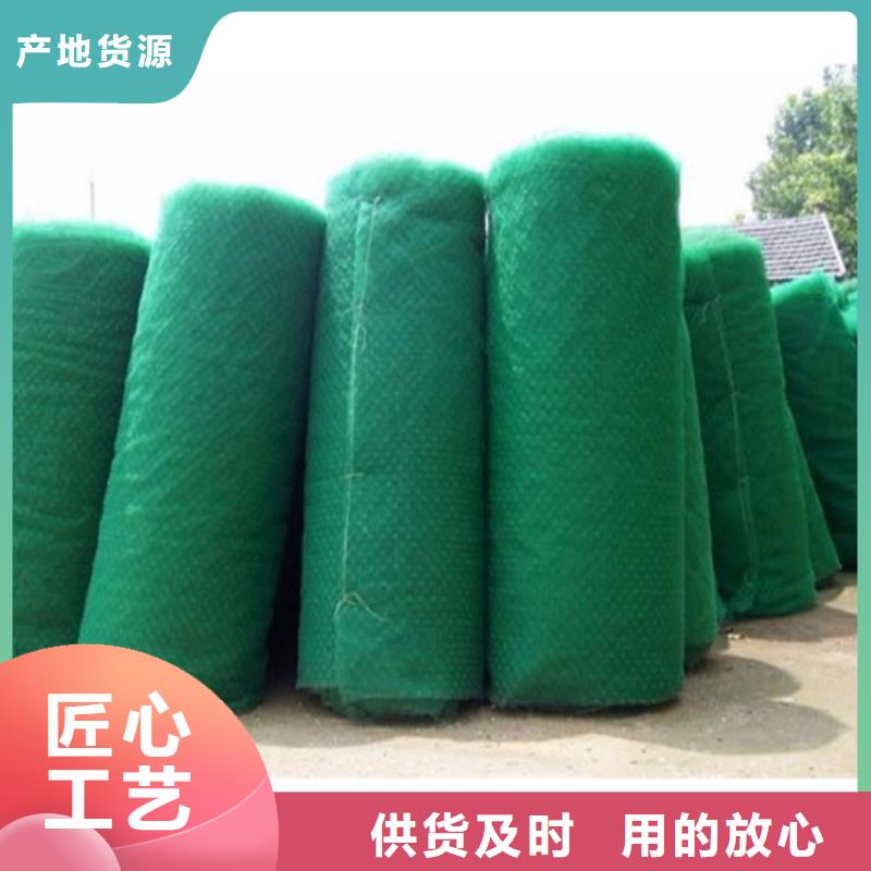三维植被网土工格室源厂供货
